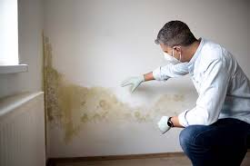 Best Crawl Space Mold Remediation  in USA